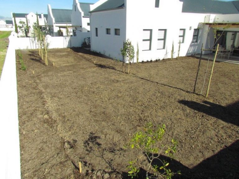  20 SimpleGrassTurf co za