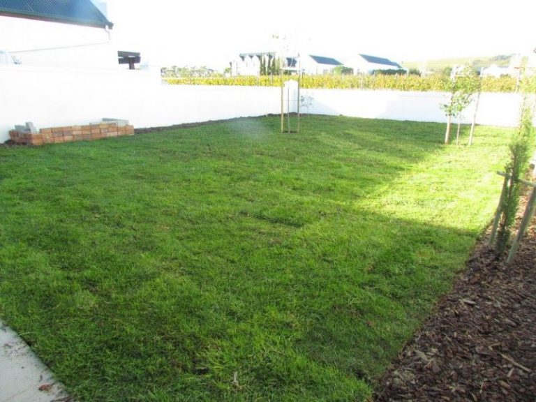 Natural lawn grass new development SimpleGrassTurf co za