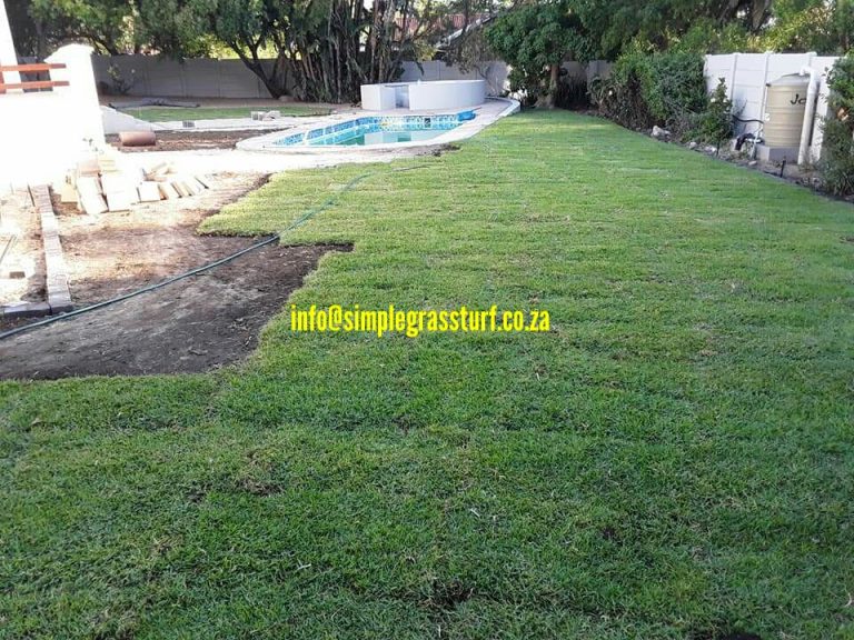 02 before artificial turf installation natural grass 2 