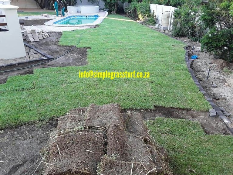 02 before artificial turf installation natural grass SimpleGrassTurf 