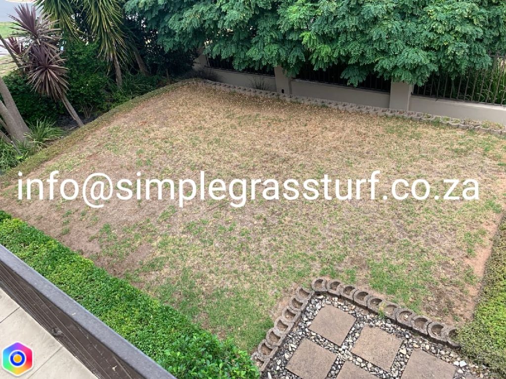 08 large garden fitted with artificial grass before SimpleGrassTurf co za